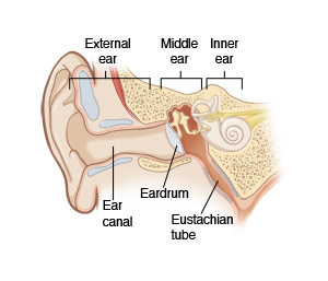 Basic ear anatomy with labels for external ear, middle ear, inner ear, ear canal, eardrum, and eustachian tube.